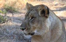 Zdjęcia z wyjazdu do południowej Afryki