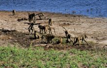 Zdjęcia z wyjazdu do południowej Afryki