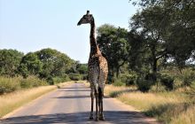 Zdjęcia z wyjazdu do południowej Afryki