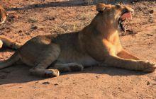 Zdjęcia z wyjazdu do południowej Afryki