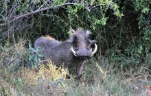 Zdjęcia z wyjazdu do południowej Afryki