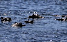 Zdjęcia z wyjazdu do południowej Afryki