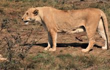 Zdjęcia z wyjazdu do południowej Afryki