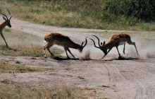 Zdjęcia z wyjazdu do południowej Afryki