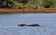Zdjęcia z wyjazdu do południowej Afryki