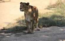 Zdjęcia z wyjazdu do południowej Afryki