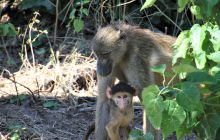 Zdjęcia z wyjazdu do południowej Afryki