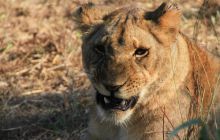 Zdjęcia z wyjazdu do południowej Afryki