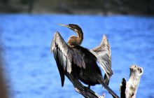 Zdjęcia z wyjazdu do południowej Afryki