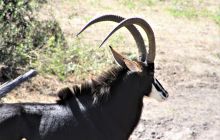 Zdjęcia z wyjazdu do południowej Afryki