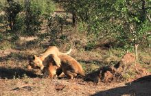 Zdjęcia z wyjazdu do południowej Afryki