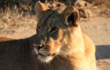 Zdjęcia z wyjazdu do południowej Afryki