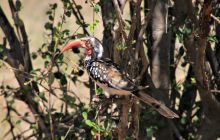 Zdjęcia z wyjazdu do południowej Afryki