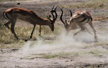 Zdjęcia z wyjazdu do południowej Afryki