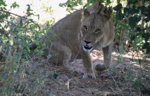 Zdjęcia z wyjazdu do południowej Afryki