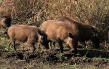 Zdjęcia z wyjazdu do południowej Afryki