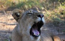 Zdjęcia z wyjazdu do południowej Afryki