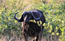 Zdjęcia z wyjazdu do południowej Afryki