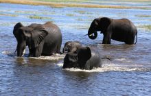 Zdjęcia z wyjazdu do południowej Afryki