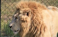 Zdjęcia z wyjazdu do południowej Afryki