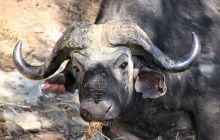 Zdjęcia z wyjazdu do południowej Afryki