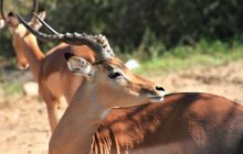 Zdjęcia z wyjazdu do południowej Afryki