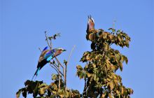 Zdjęcia z wyjazdu do południowej Afryki