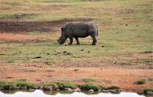 Zdjęcia z wyjazdu do południowej Afryki