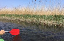 Spływ kajakowy Piaśnicą