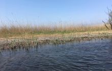 Spływ kajakowy Piaśnicą