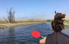 Spływ kajakowy Piaśnicą