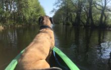 Spływ kajakowy Piaśnicą