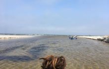 Spływ kajakowy Piaśnicą