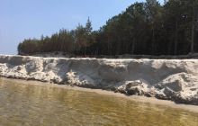 Spływ kajakowy Piaśnicą