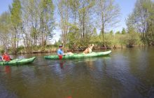 Spływ kajakowy Piaśnicą