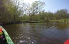 Spływ kajakowy Piaśnicą