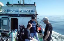 Zdjęcia z nurkowań w Kołobrzegu