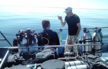 Zdjęcia z nurkowań w Kołobrzegu