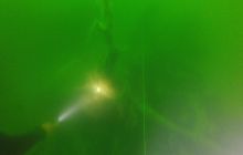 Zdjęcia z nurkowań w Kołobrzegu