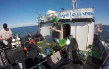 Zdjęcia z nurkowań w Kołobrzegu