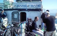 Zdjęcia z nurkowań w Kołobrzegu