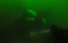 Zdjęcia z nurkowań w Kołobrzegu