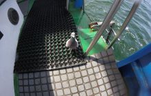 Zdjęcia z nurkowań w Kołobrzegu