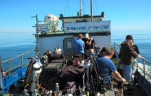 Zdjęcia z nurkowań w Kołobrzegu