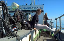 Zdjęcia z nurkowań w Kołobrzegu