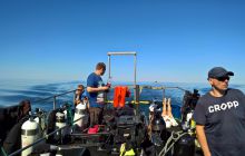 Zdjęcia z nurkowań w Kołobrzegu