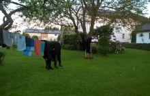 Zdjęcia z nurkowań w Kołobrzegu