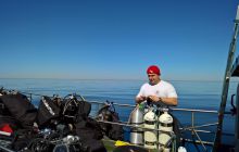 Zdjęcia z nurkowań w Kołobrzegu