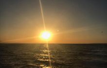 Zdjęcia z Safari Brothers Islands