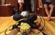 Zdjęcia z Safari Brothers Islands